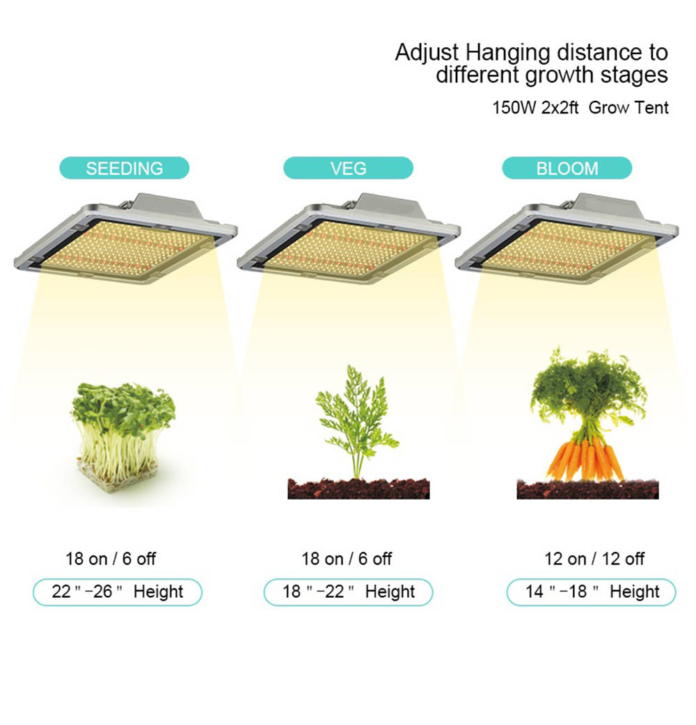 Canopy Grow Light