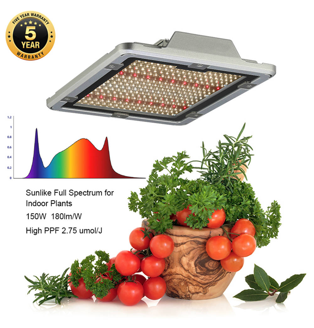 Canopy Grow Light