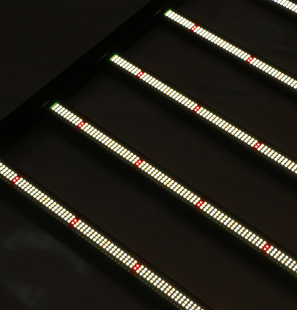 Grow Light