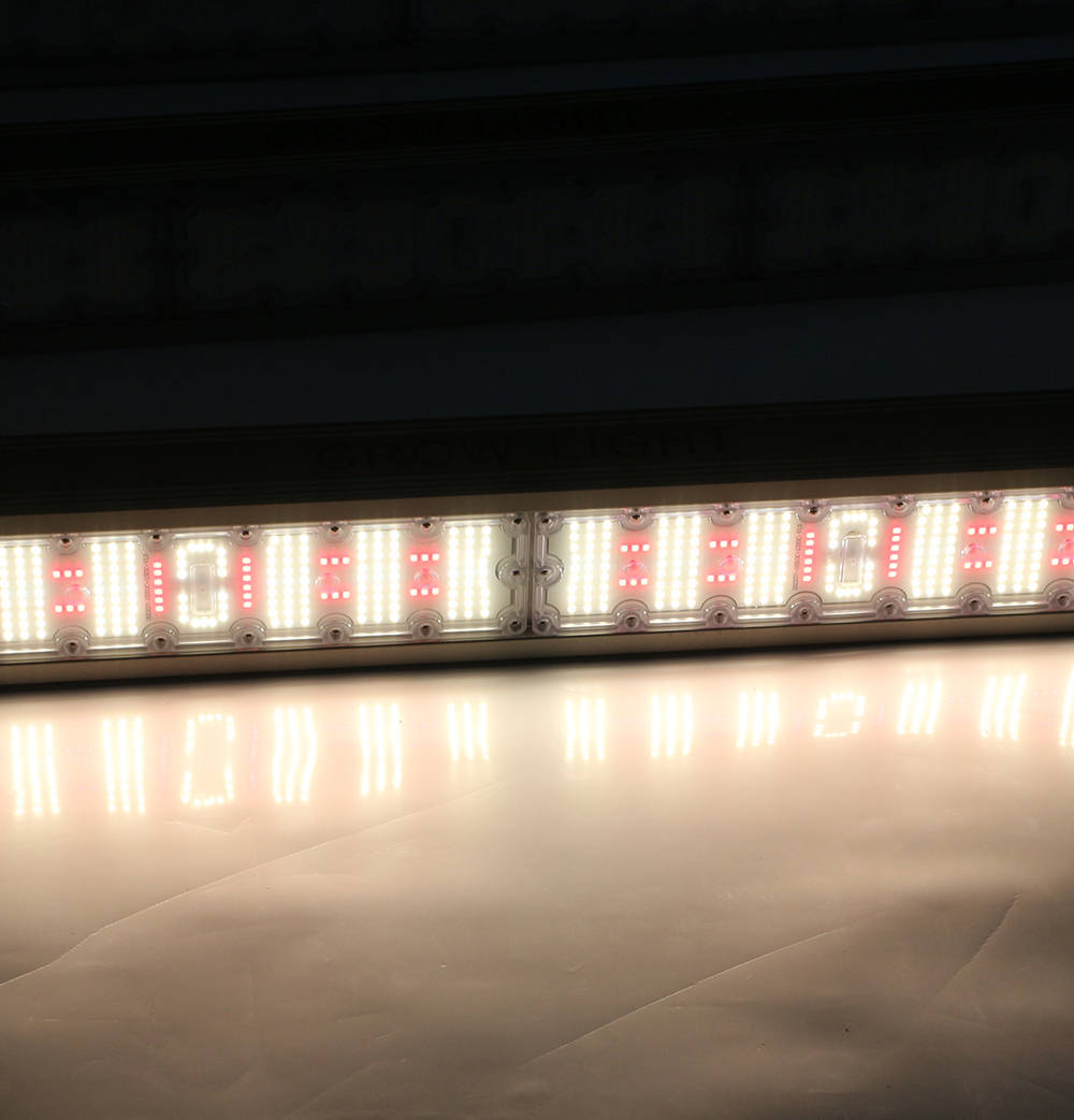 Grow Light