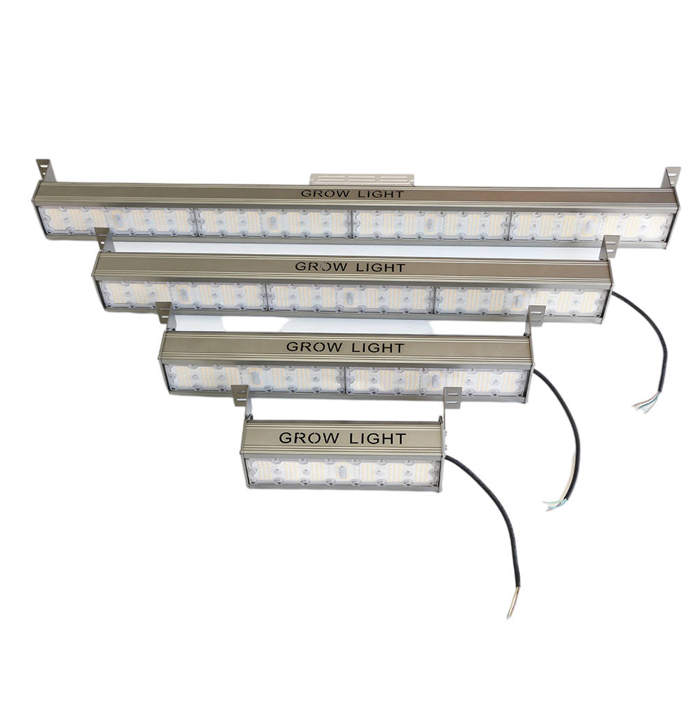 Grow Light