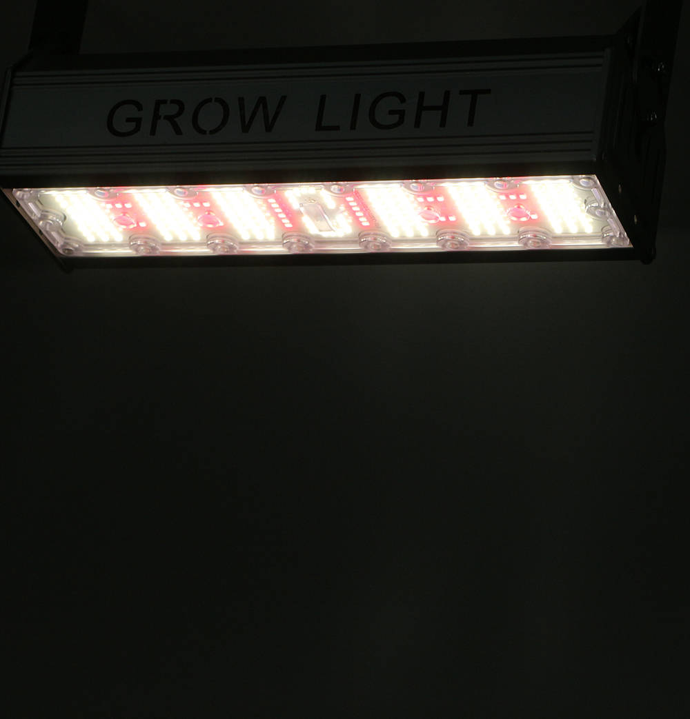 Grow Light