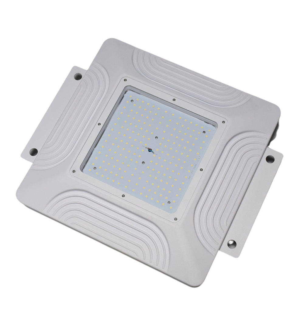 Canopy Light