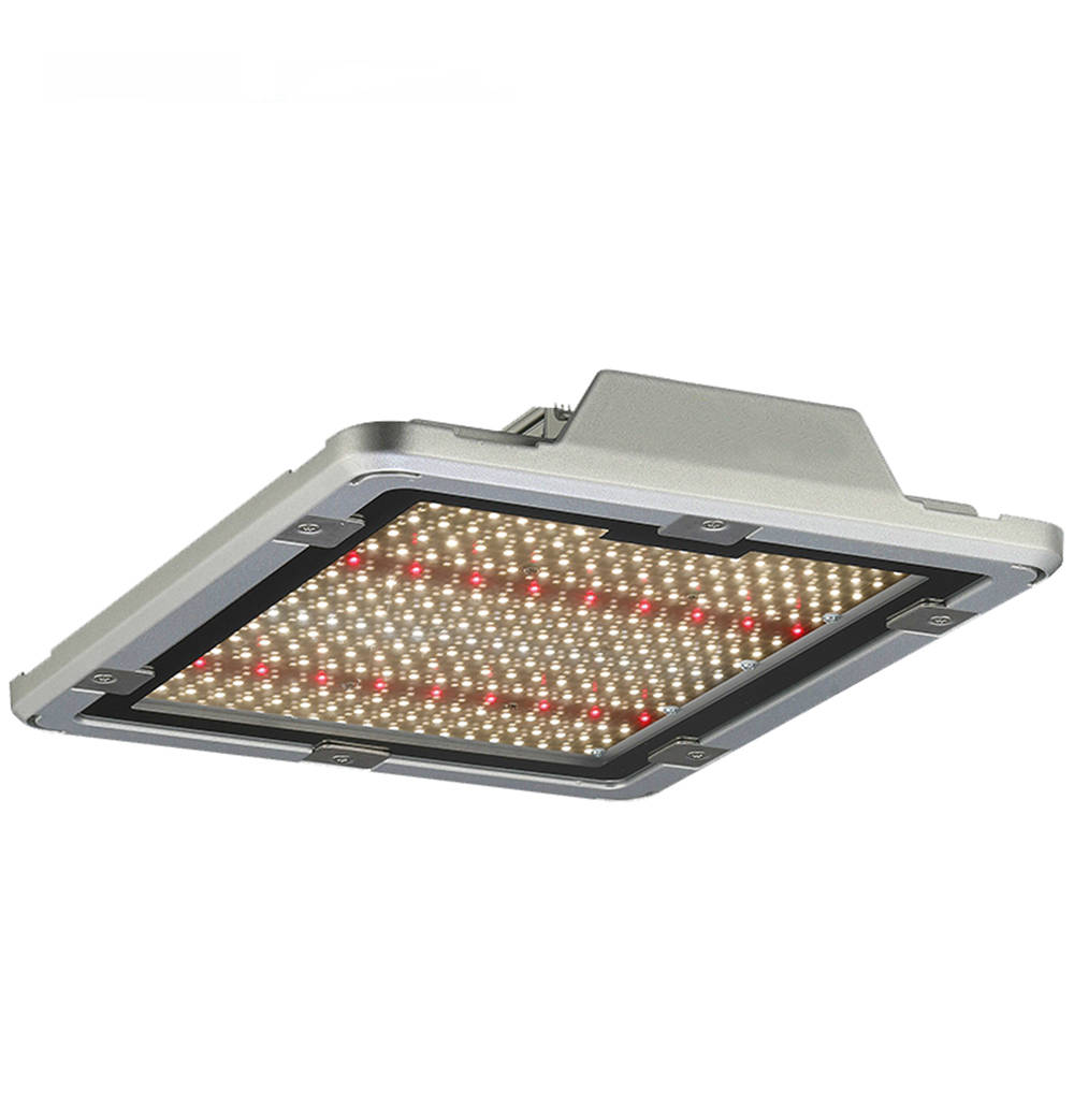 Canopy Grow Light