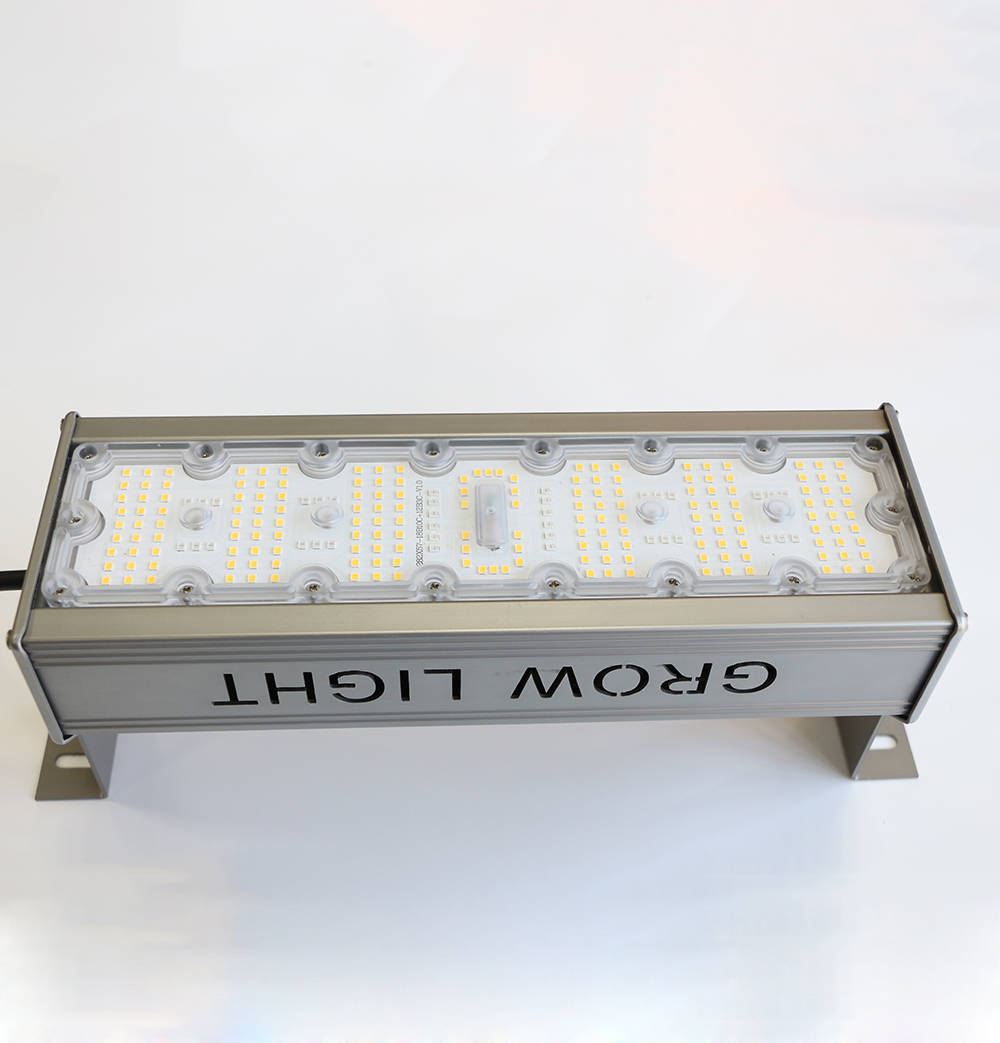 Grow Light