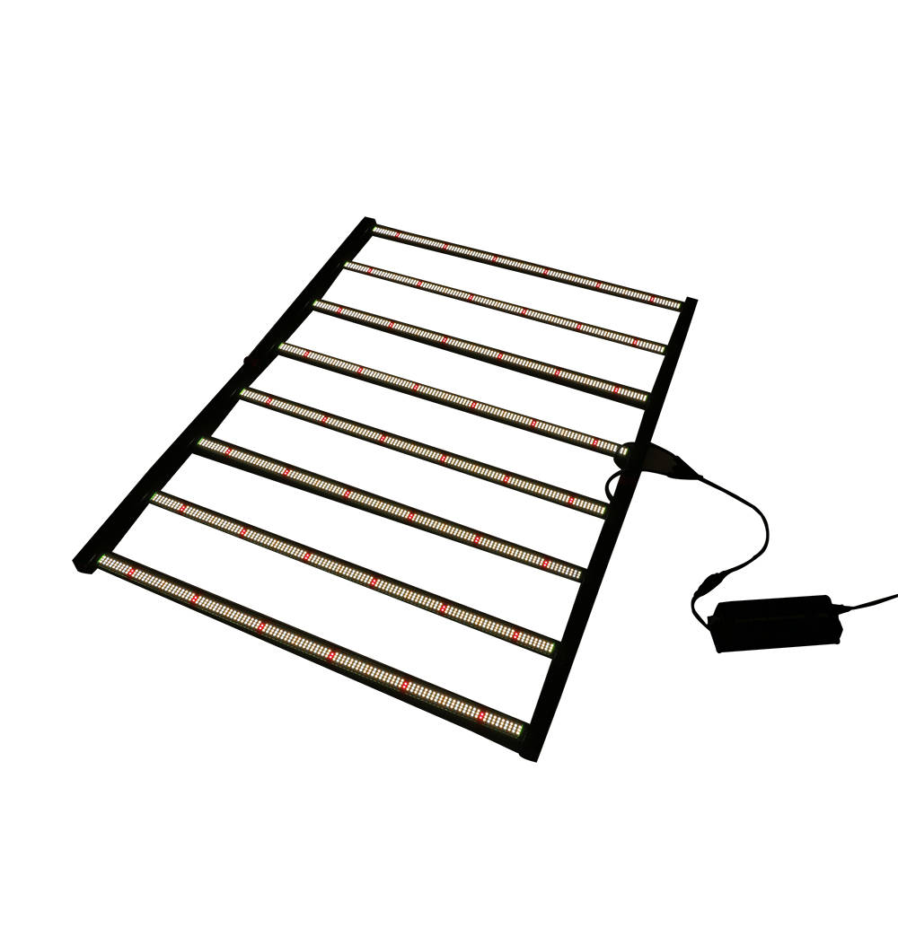 Grow Light
