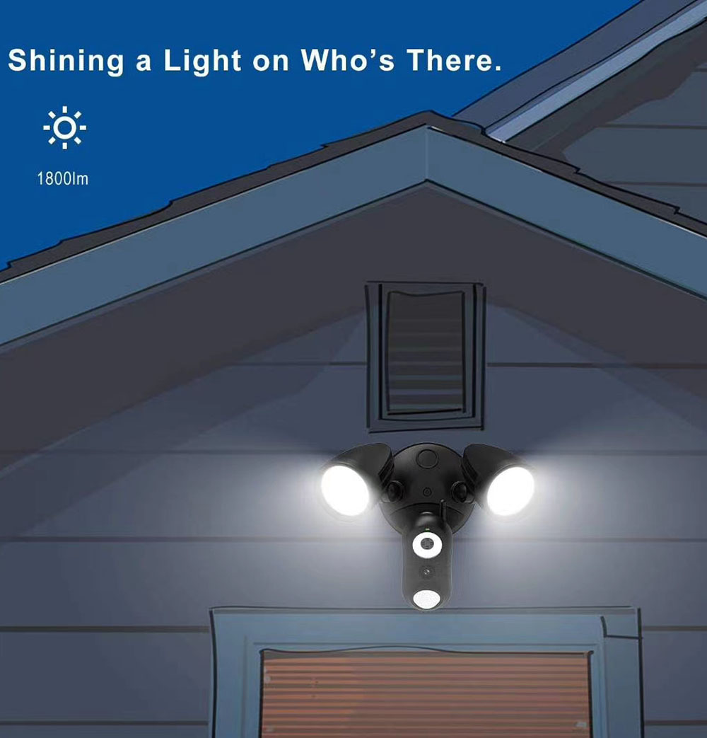 LED Security Light