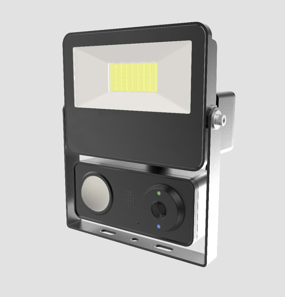 LED Security Light 